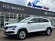 Skoda Karoq, 2020 года, пробег 132872 км