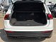 Volkswagen Tiguan Trendline, 2019 года, пробег 207260 км